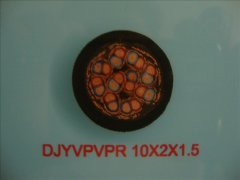 計算機電纜DJYVPVPR-10*2*1.5