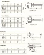 軸向型雙金屬溫度計(jì)WSS-401